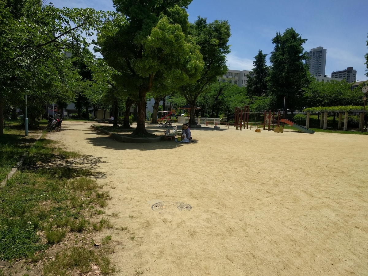 f:id:torisyun:20200521134449j:plain