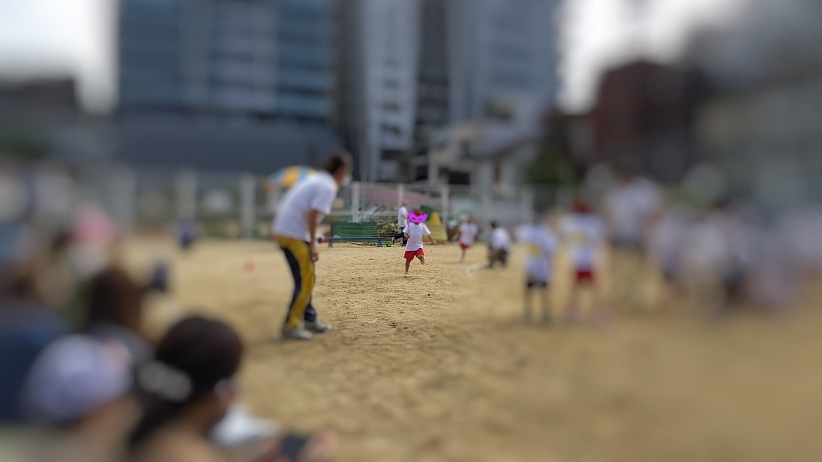 f:id:torisyun:20201013191957j:plain
