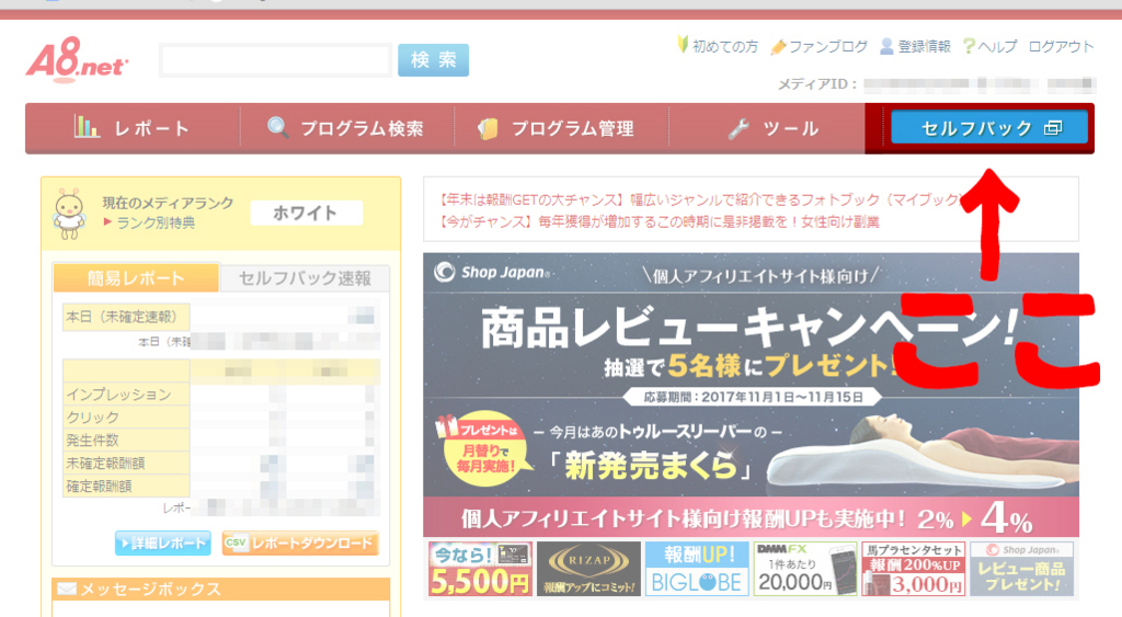 f:id:toritamegoro:20171106122502j:plain