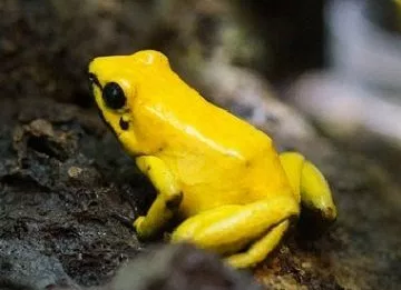 f:id:toritamegoro:20180829134230p:plain f:id:toritamegoro:20180829134230p:plain