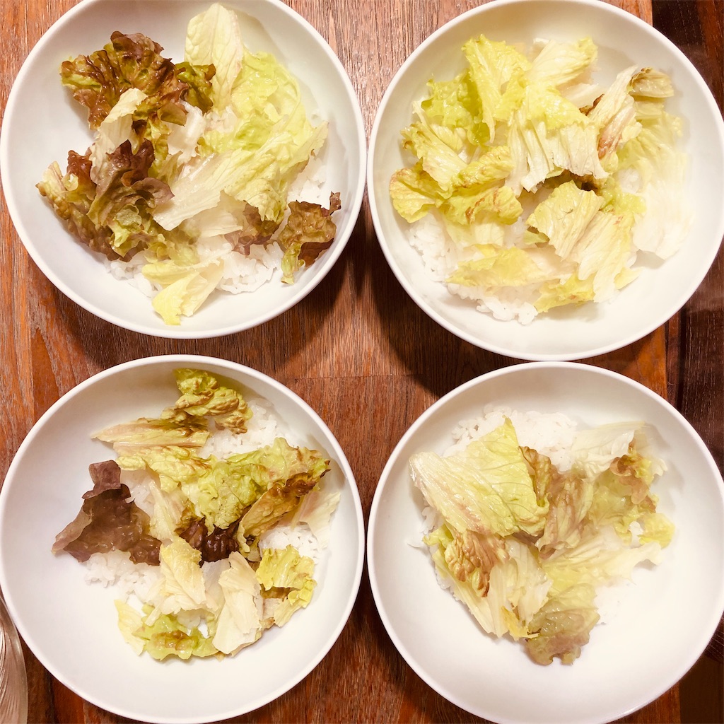 f:id:toritamegoro:20190107153829j:image