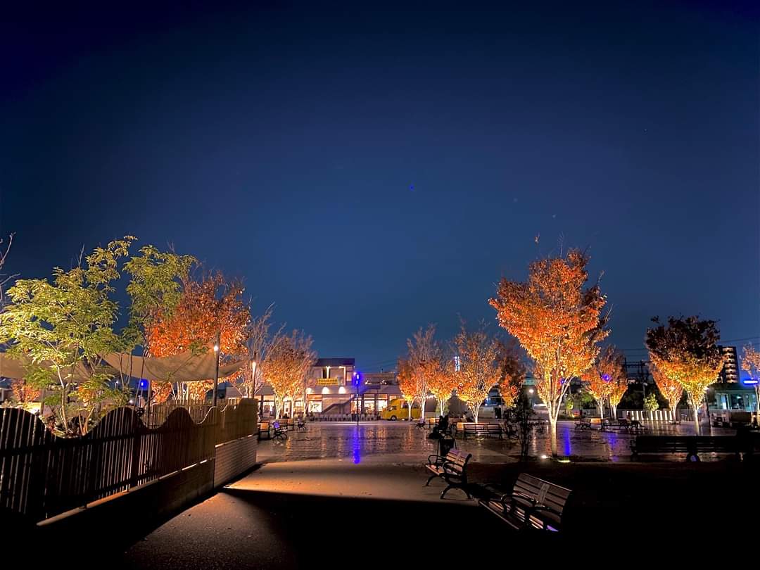 安満遺跡公園「夜の紅葉」