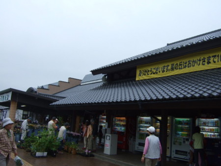 f:id:toritori0318:20080921092033j:image:w180