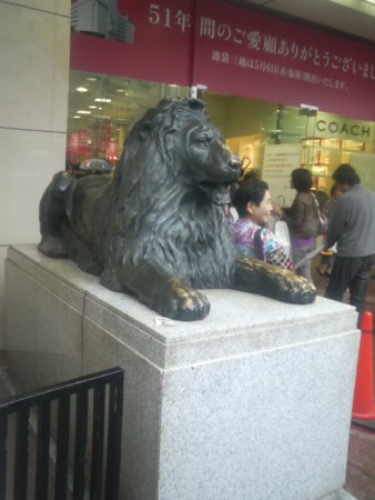 f:id:toritori0318:20090506160907j:image:w300