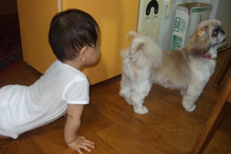 f:id:toritori0318:20100921173921j:image:w300