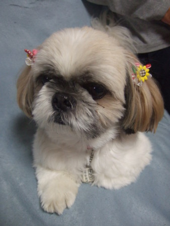f:id:toritori0318:20100924175637j:image:w300