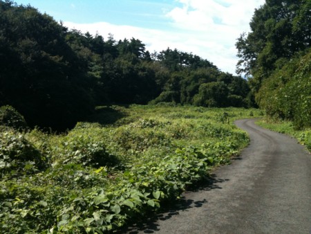 f:id:toritori0318:20100926110417j:image:w300