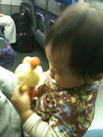 f:id:toritori0318:20100926135231j:image:w300