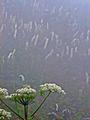 20070902144826