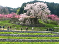 20080413103237