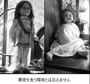 f:id:torivian:20180316194413p:plain