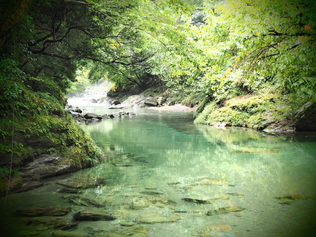 f:id:toriyamaran:20170927222822j:plain f:id:toriyamaran:20170927222822j:plain