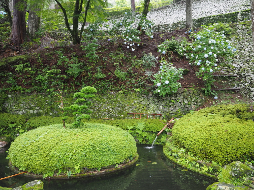 大龍寺の池