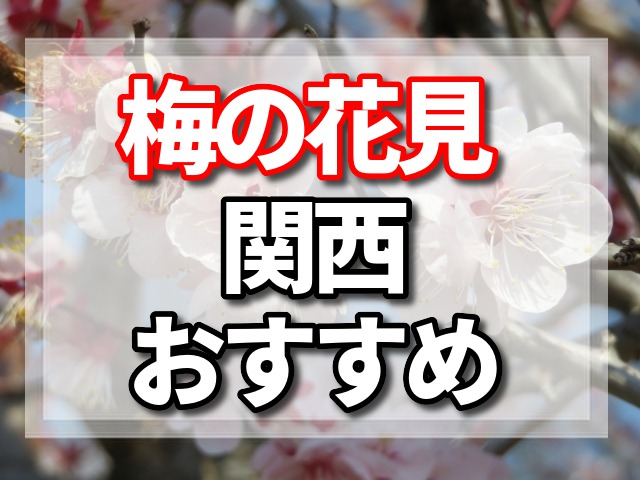 梅　花見　関西