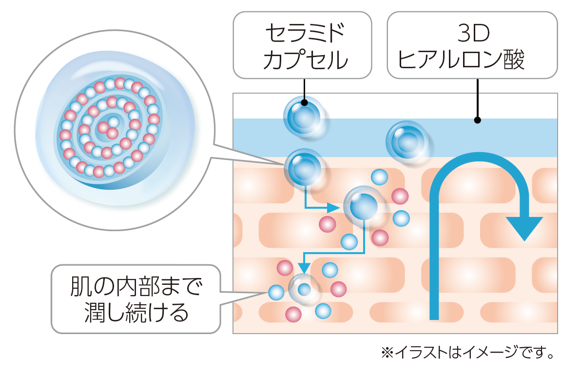 プロテクトバリアリッチcの詳細について