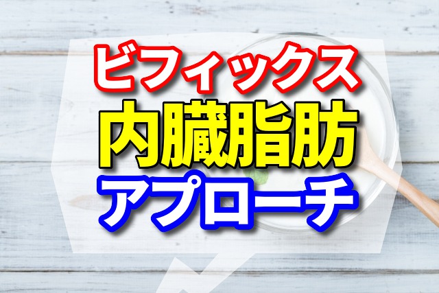 ビフィックスは内臓脂肪にアプローチ！ダイエッターが喜ぶ嬉しい効果をご紹介