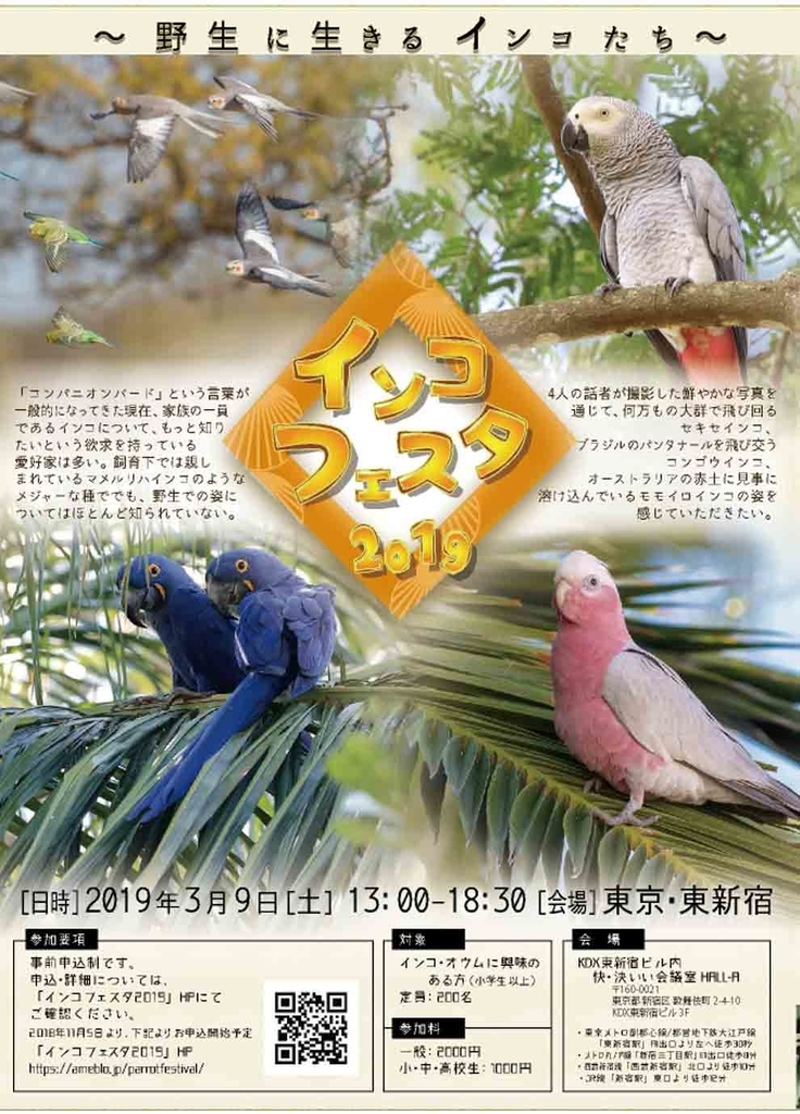 f:id:torizotori:20190306220122j:plain