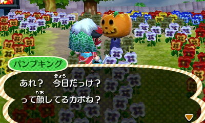 パンプキング！