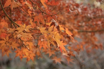 大倉山公園６
