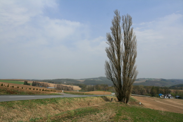 20080501111042