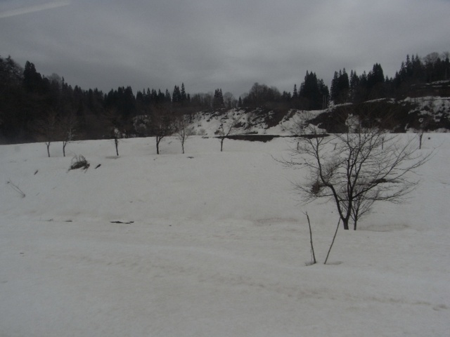 f:id:toro_cx:20090430235236j:image:w320 f:id:toro_cx:20090430235236j:image:w320