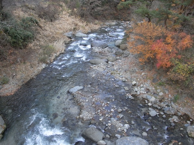 f:id:toro_cx:20091129203503j:image:w320 f:id:toro_cx:20091129203503j:image:w320