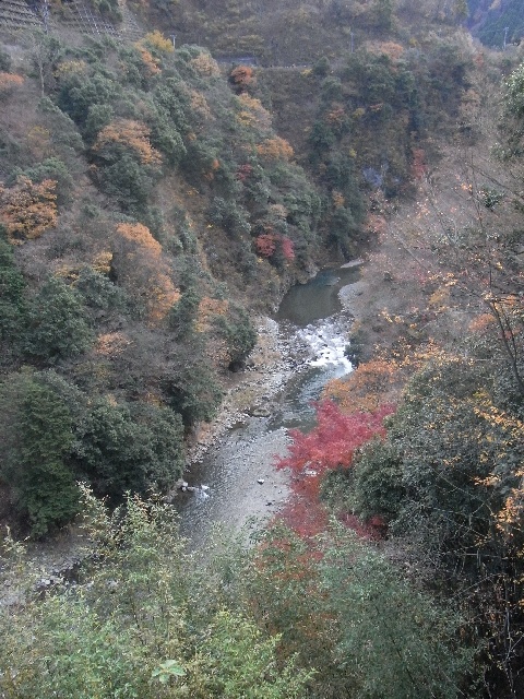 f:id:toro_cx:20091129203504j:image:h320