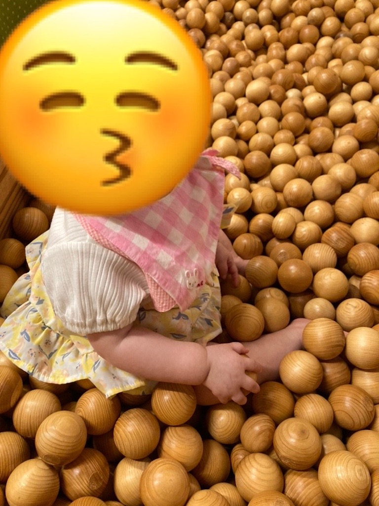 f:id:torochankun:20240928235533j:image f:id:torochankun:20240928235533j:image