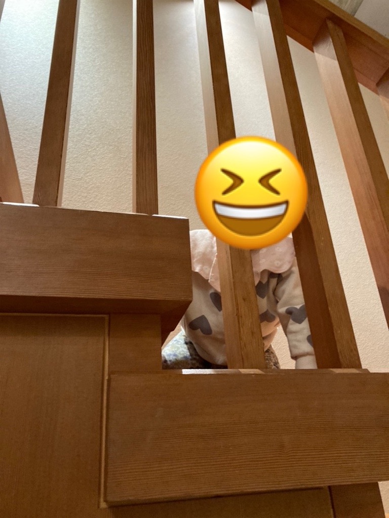 f:id:torochankun:20250204233327j:image