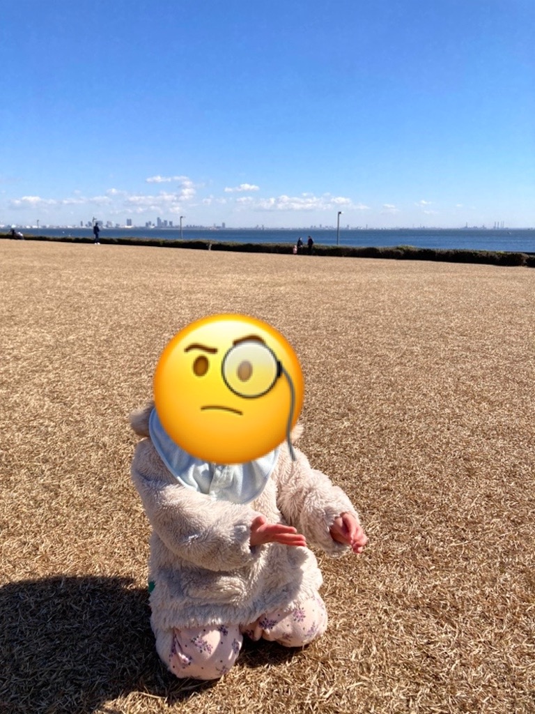 f:id:torochankun:20250211222928j:image