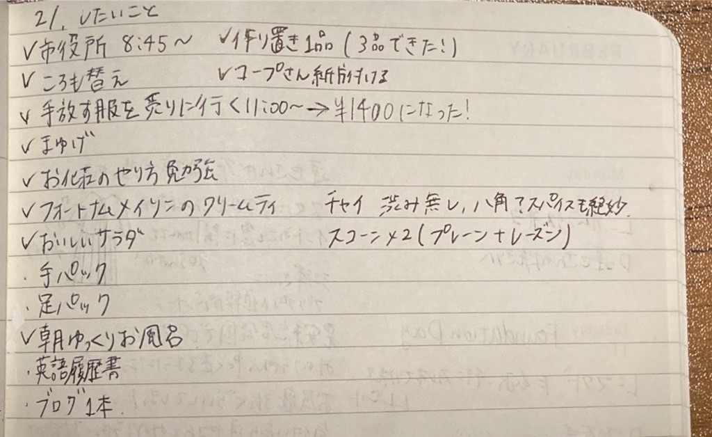 f:id:torochankun:20250219230029j:image