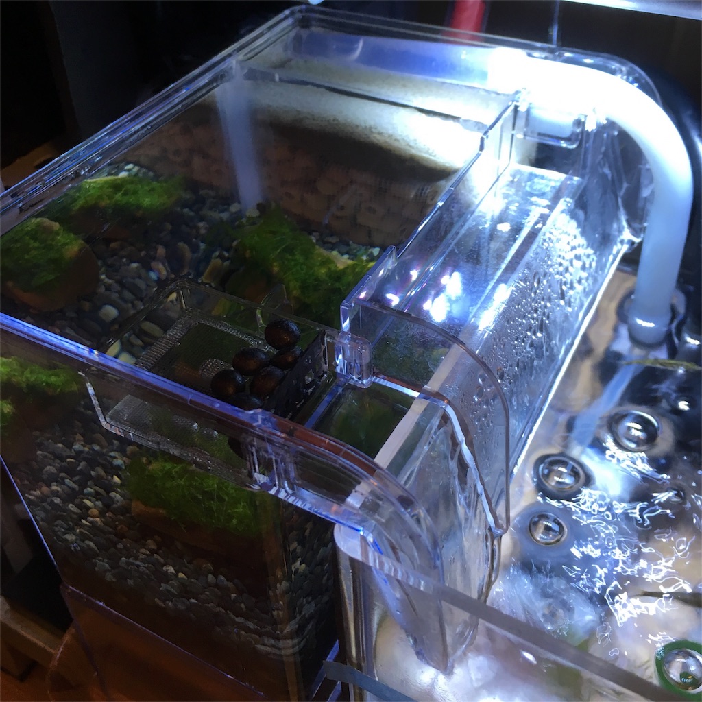 f:id:toronto1030:20171106195459j:image f:id:toronto1030:20171106195459j:image