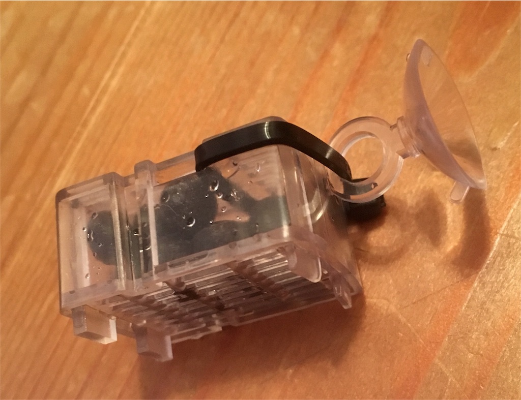 f:id:toronto1030:20171106202034j:image f:id:toronto1030:20171106202034j:image