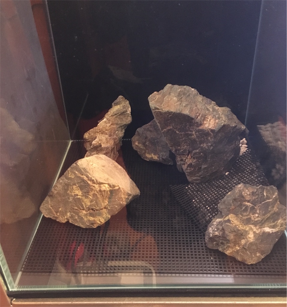 f:id:toronto1030:20180130153518j:image f:id:toronto1030:20180130153518j:image