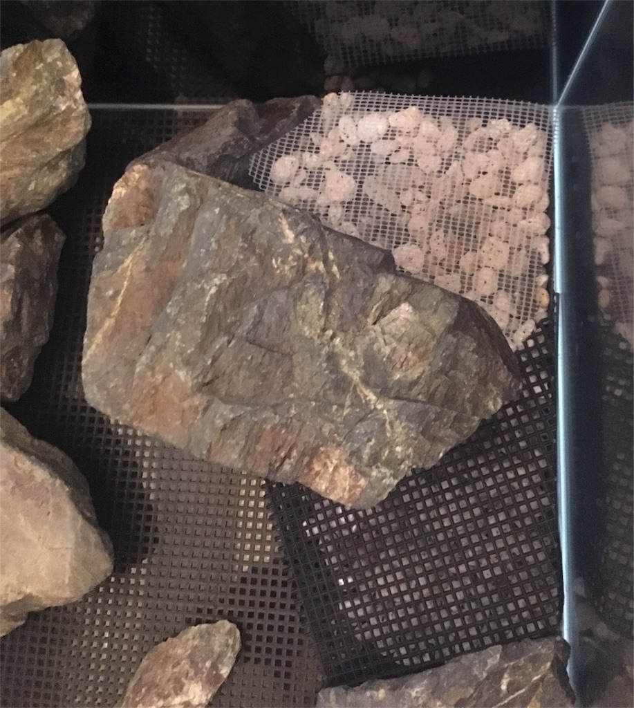 f:id:toronto1030:20180130153619j:image f:id:toronto1030:20180130153619j:image