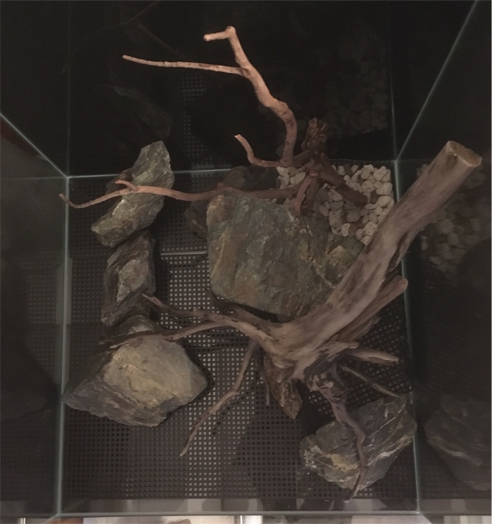 f:id:toronto1030:20180130154232j:image f:id:toronto1030:20180130154232j:image