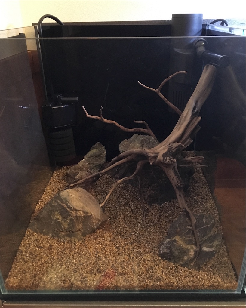 f:id:toronto1030:20180130211149j:image f:id:toronto1030:20180130211149j:image