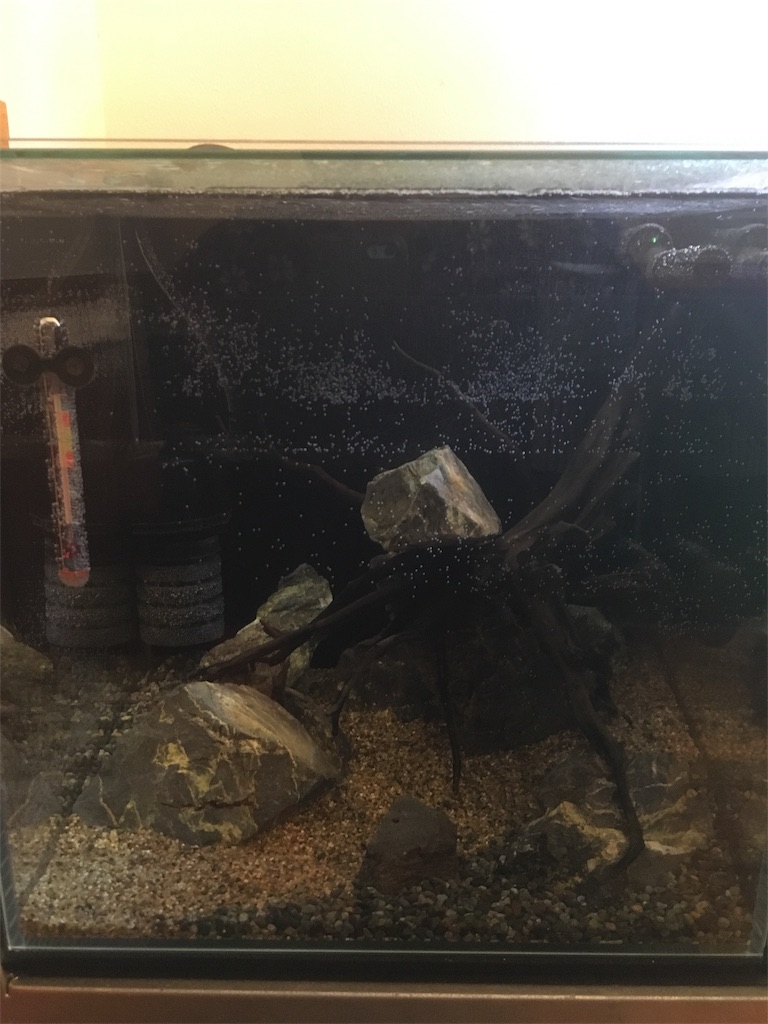 f:id:toronto1030:20180214205137j:image f:id:toronto1030:20180214205137j:image