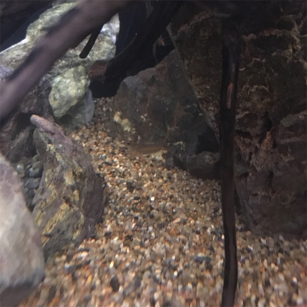 f:id:toronto1030:20180220182753j:image f:id:toronto1030:20180220182753j:image