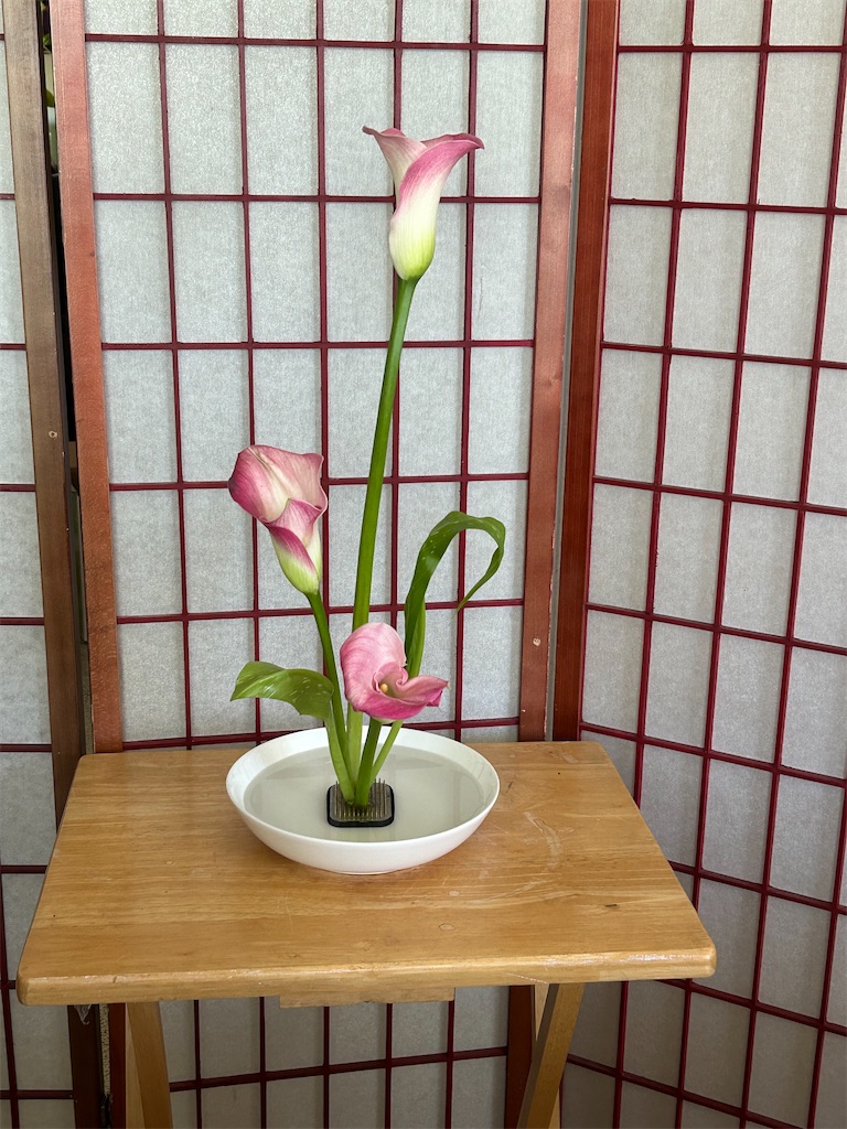 f:id:torontopiano:20240531031210j:image f:id:torontopiano:20240531031210j:image