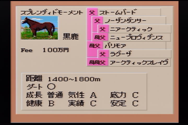 f:id:tortinitafine:20190303034633j:plain