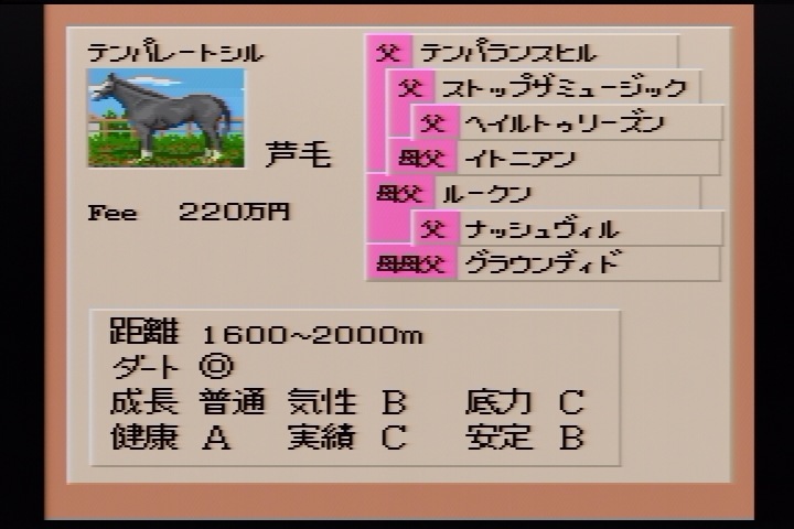 f:id:tortinitafine:20190303035336j:plain