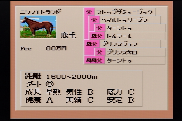 f:id:tortinitafine:20190303035339j:plain