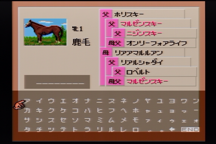 f:id:tortinitafine:20190303135759j:plain