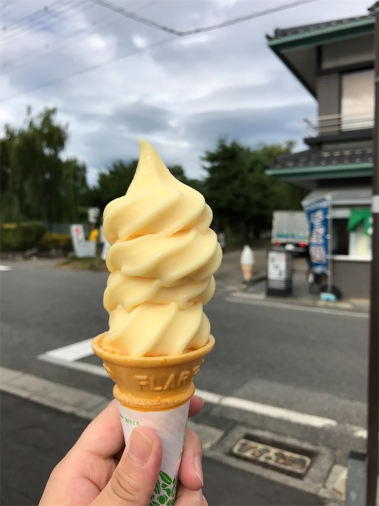 f:id:tortoi:20180822213930j:image