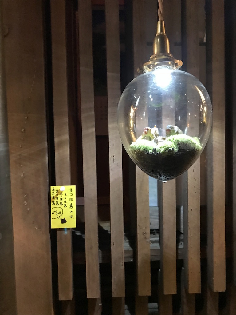 f:id:tortoi:20180822214741j:image