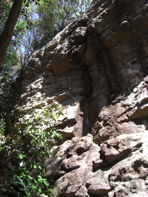 wild Boar Gorge 2011Mar19 3