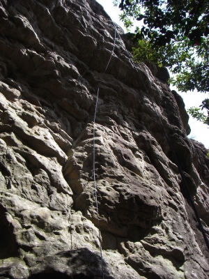 wild Boar Gorge 2011Mar27 4