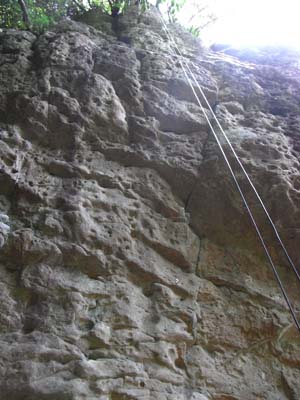 Wild Boar Gorge 2011May21 2