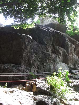 Wild Boar Gorge 2011May21 3